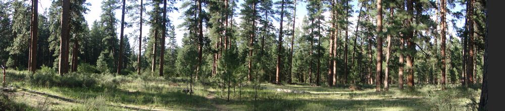 Metolius 3 Metolius 3