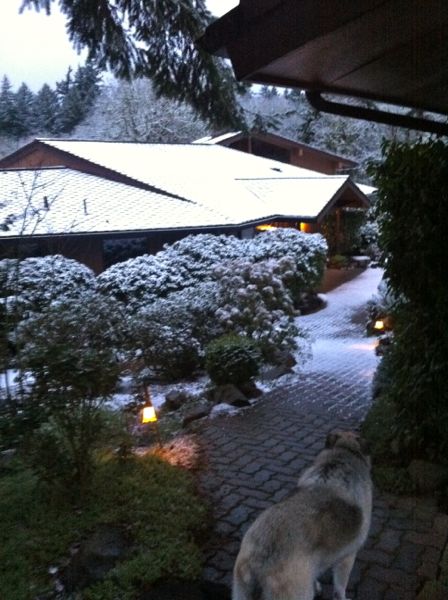 Snow walk 6 Snow walk 6