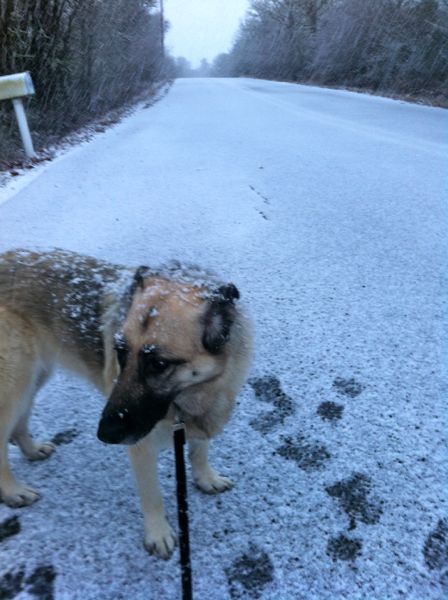 Snow walk 3 Snow walk 3