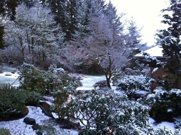 Snow walk 7 Snow walk 7