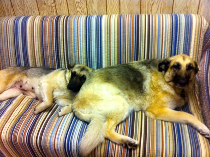 Zu Zu and Serena Zu Zu and Serena