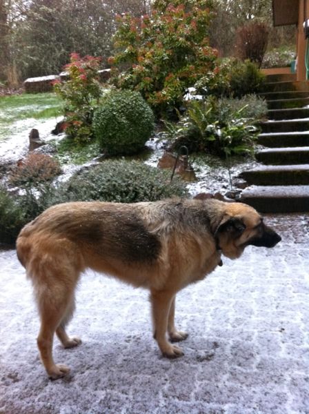 Snow walk 1 Snow walk 1