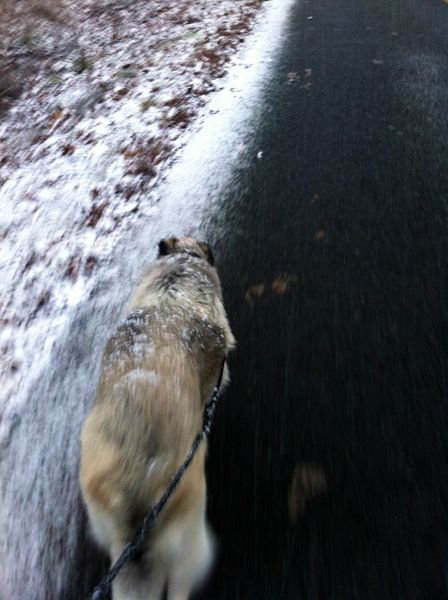 Snow walk 2 Snow walk 2