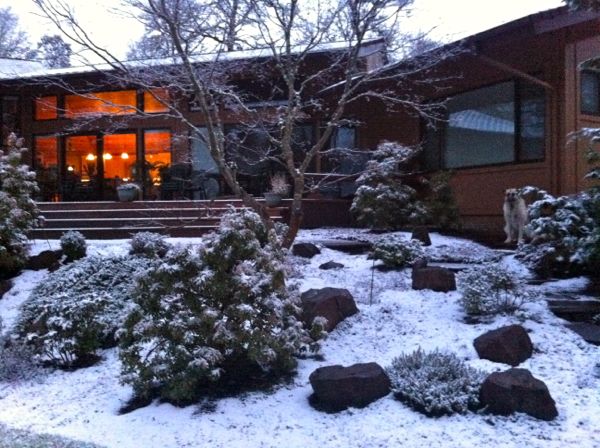 Snow walk 10 Snow walk 10