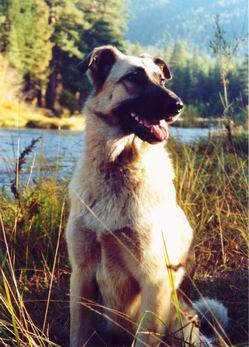 Resize_of_serena Resize_of_serena