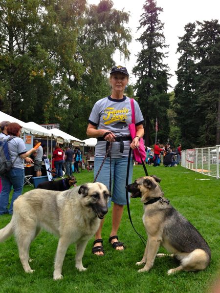 Portland Strut Your Mutt 1 Portland Strut Your Mutt 1