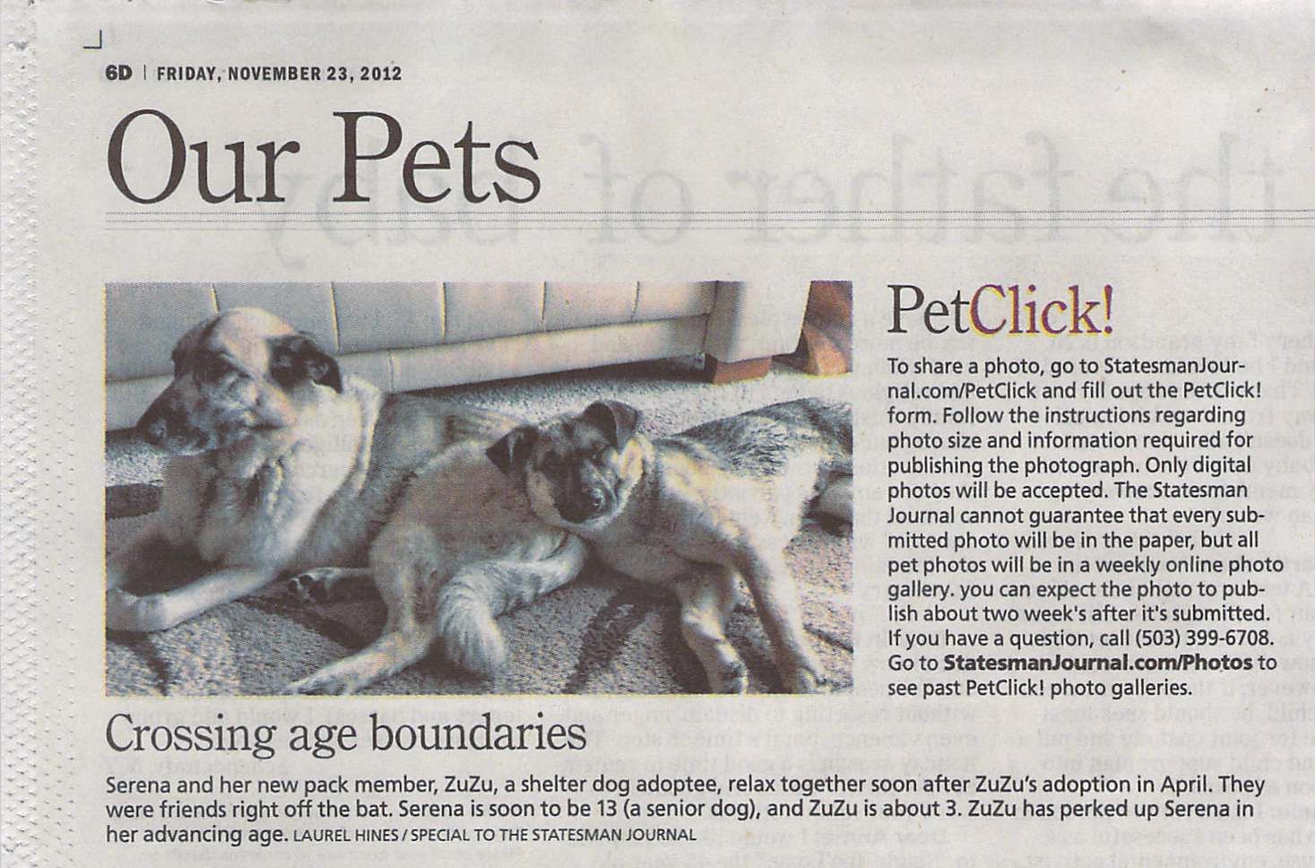 Pet Click Statesman Journal Pet Click Statesman Journal