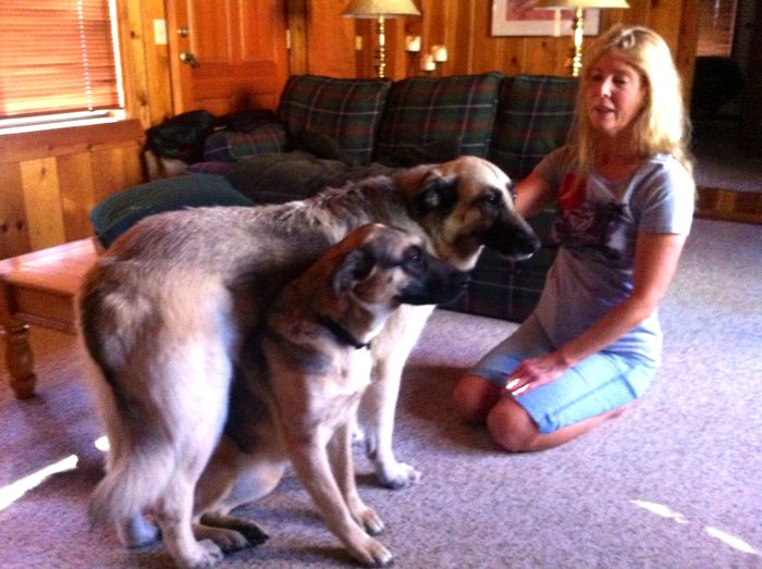 Loser dog photo Loser dog photo