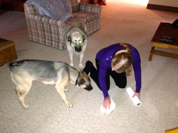 Mahonia 10 Mahonia 10