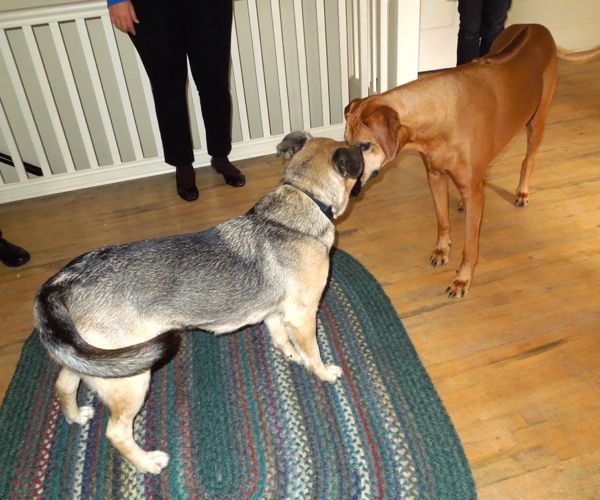 Dance floor Dance floor