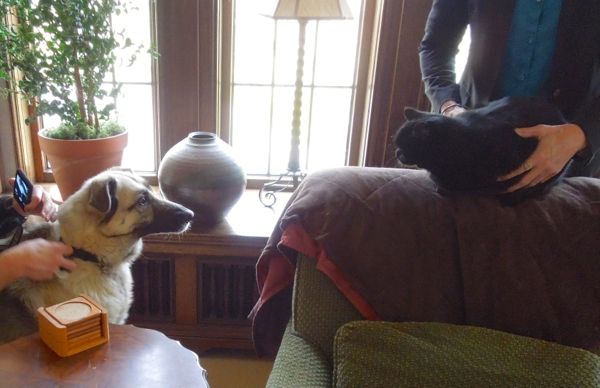 Serena and cat Serena and cat