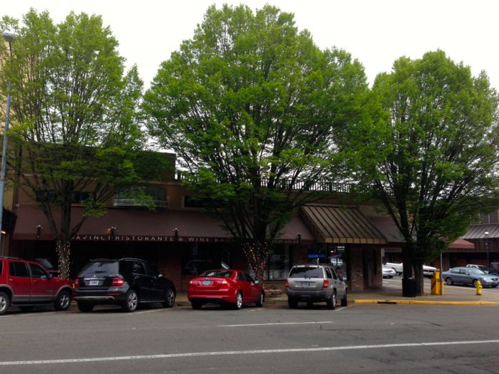 High Street trees High Street trees