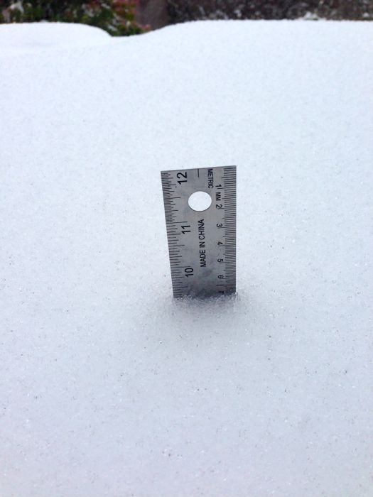 Snow ruler Snow ruler