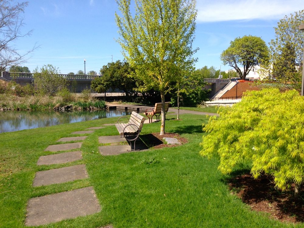 Mirror Pond Mirror Pond