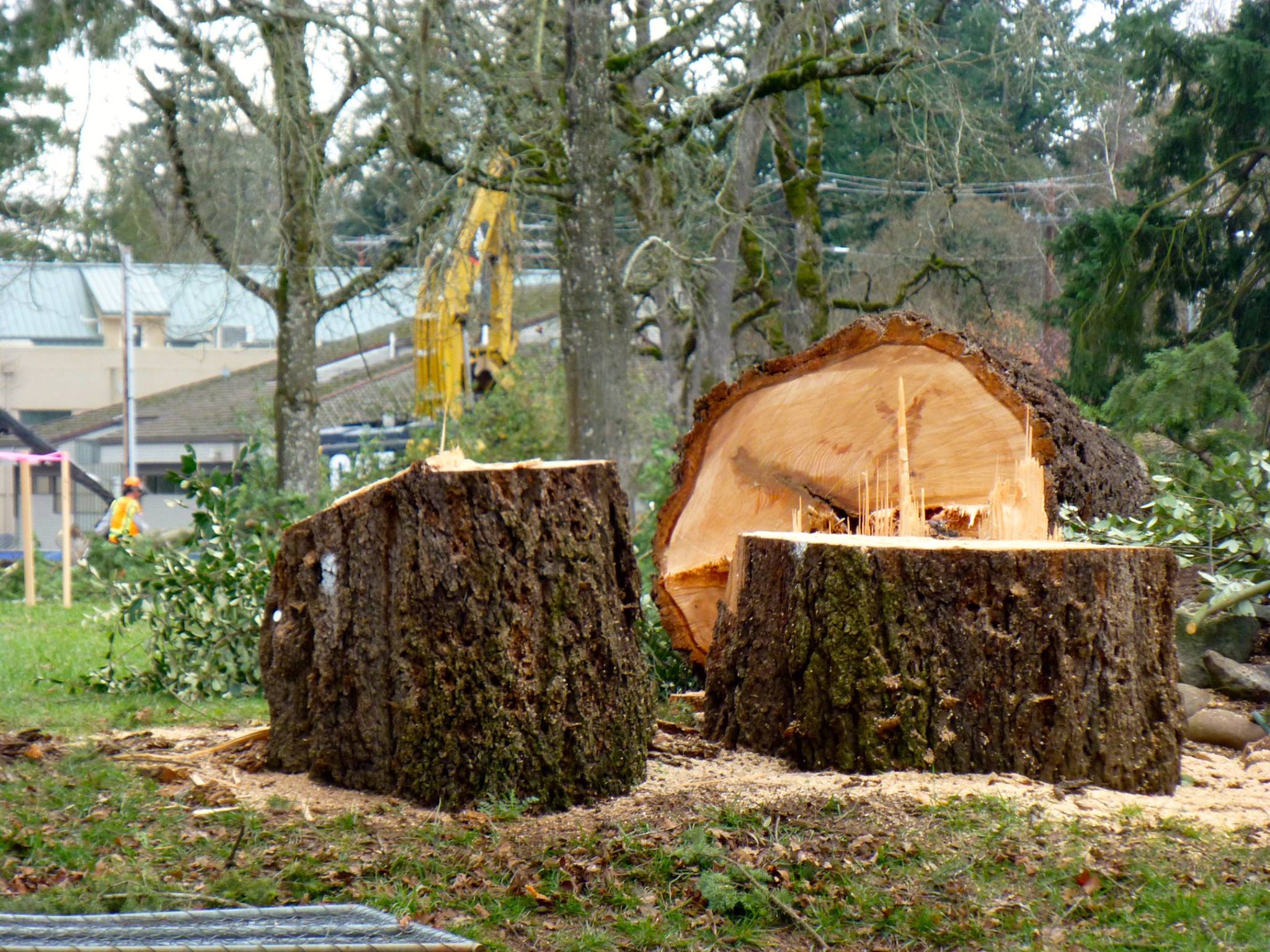 Jim photo 1 Jim photo 1