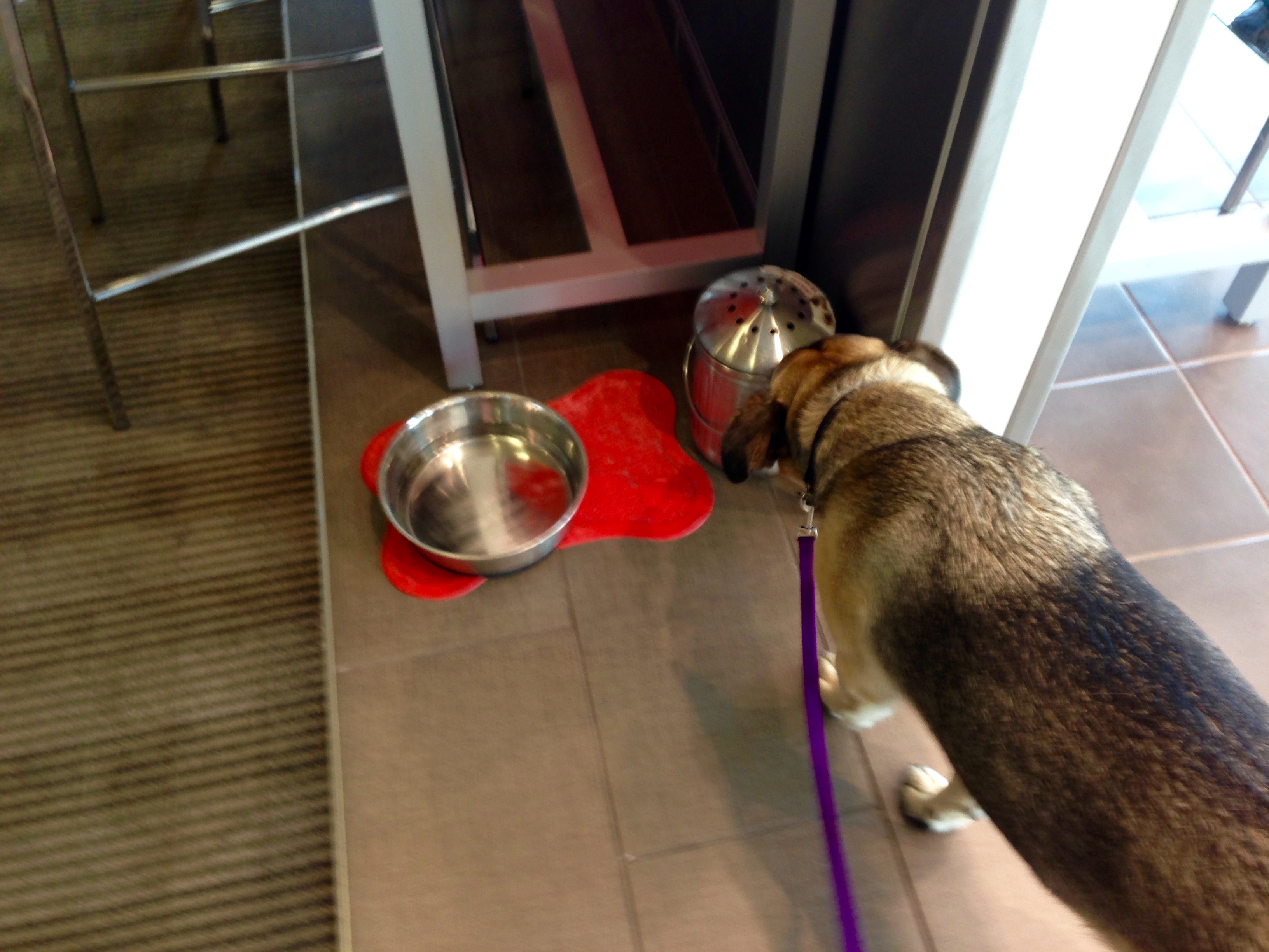 Capitol Toyota 1 Capitol Toyota 1