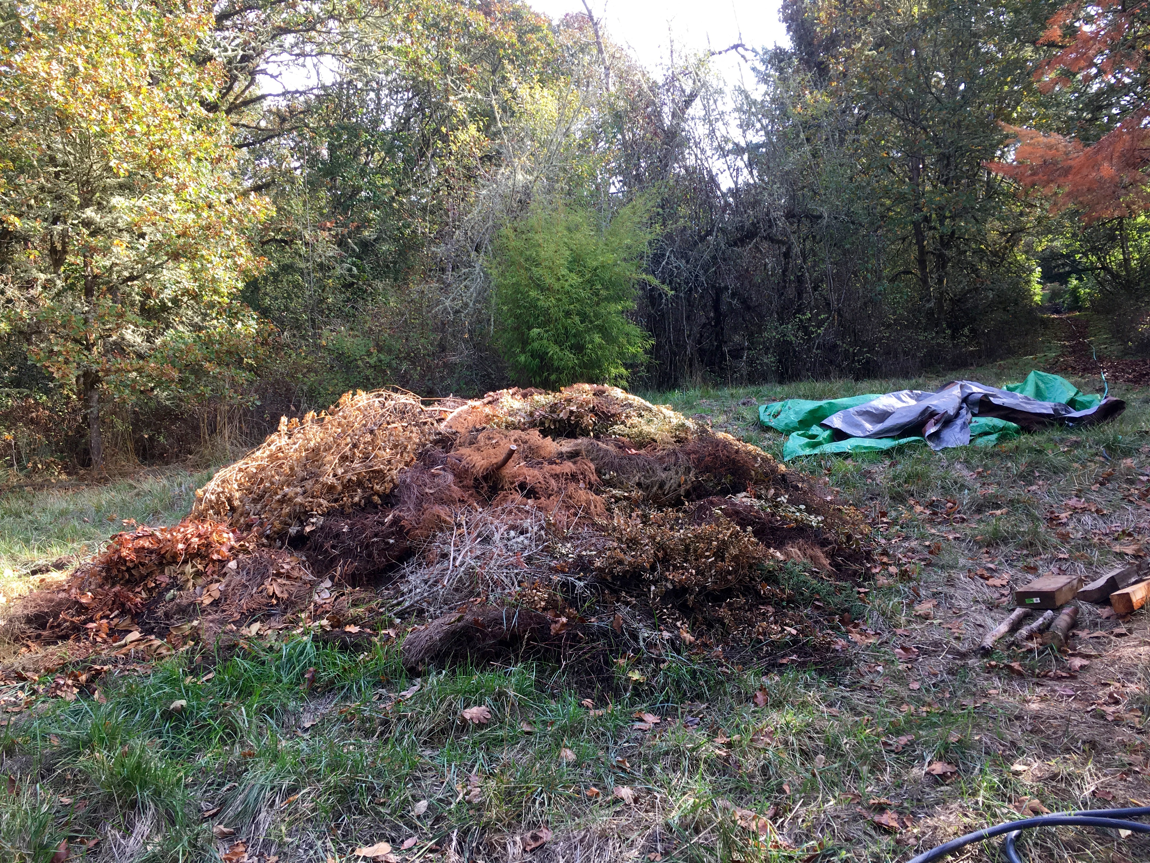 Burn pile 2 Burn pile 2