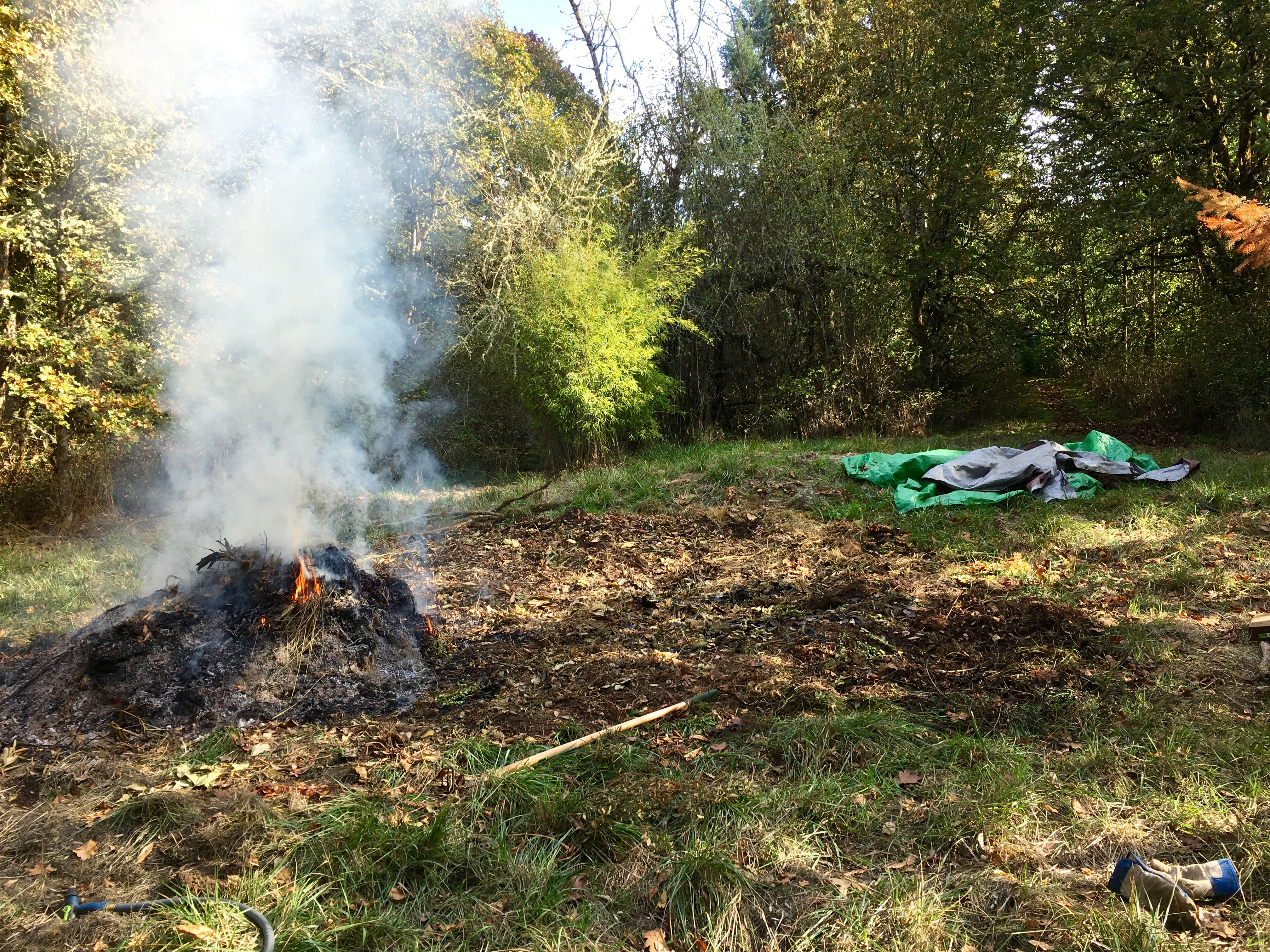 Burn pile 9 Burn pile 9