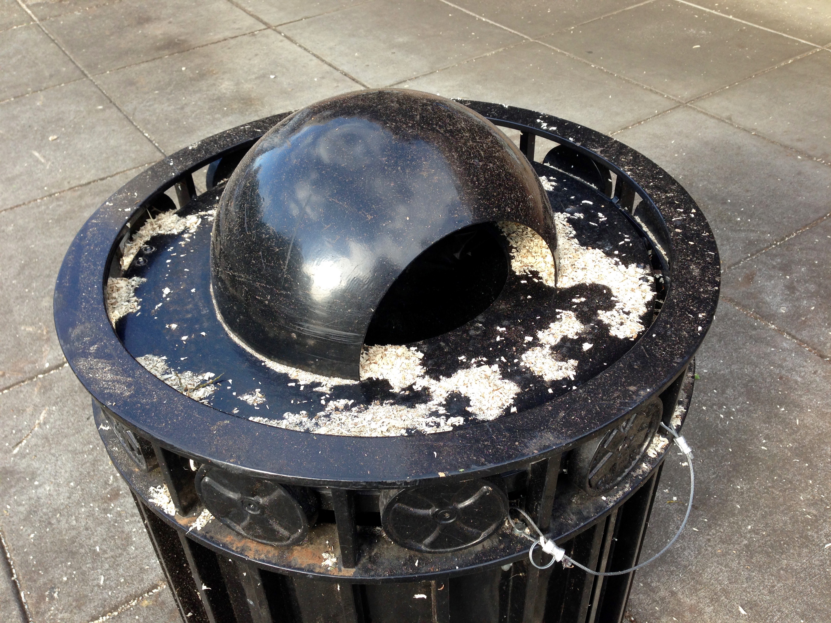 High Street trees 4 High Street trees 4