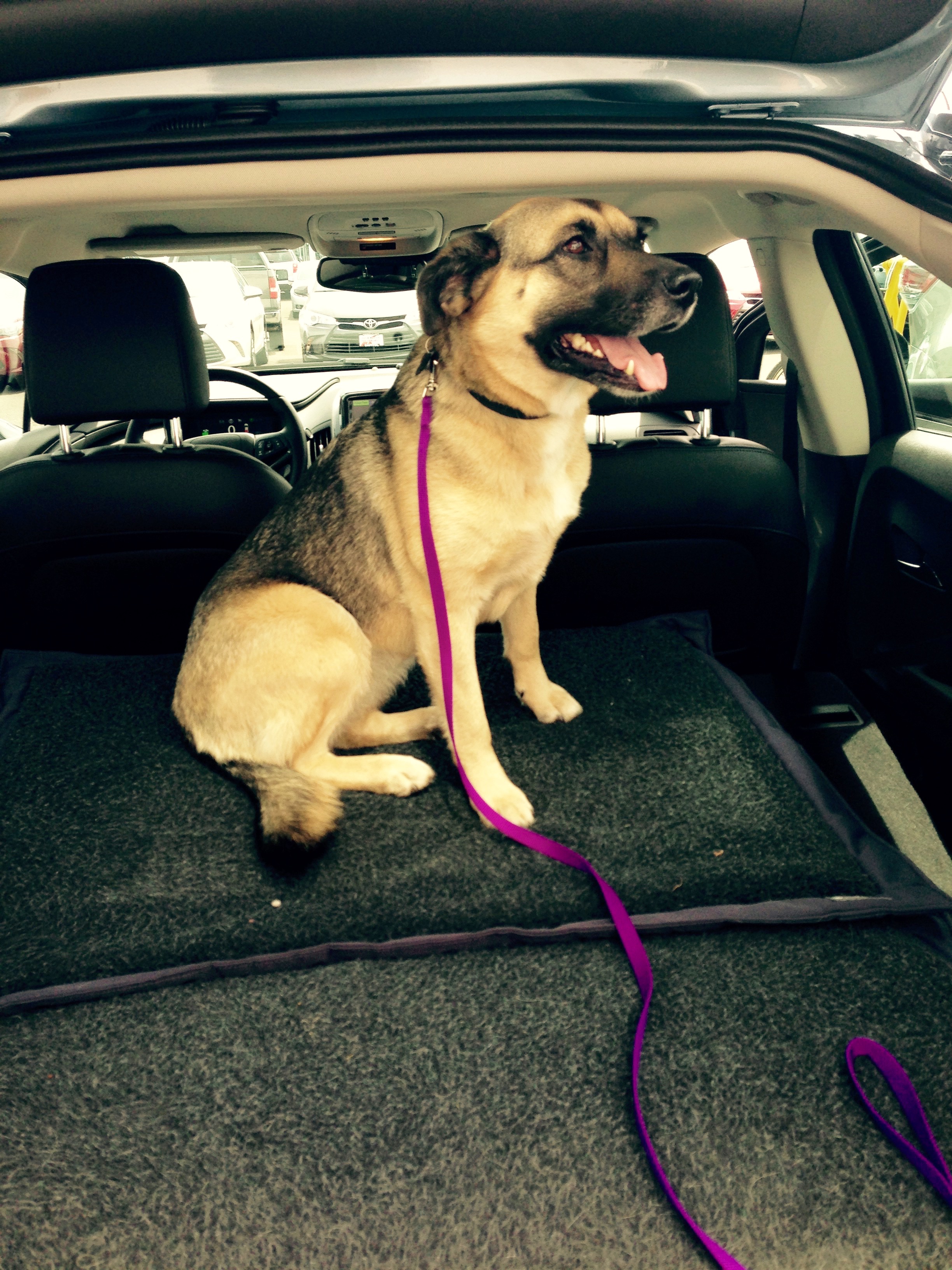 Capital Toyota 11 Capital Toyota 11