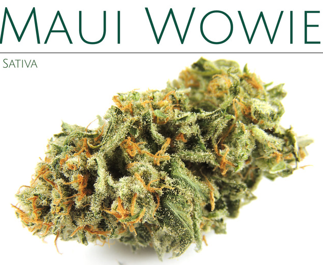 Maui Wowie Maui Wowie