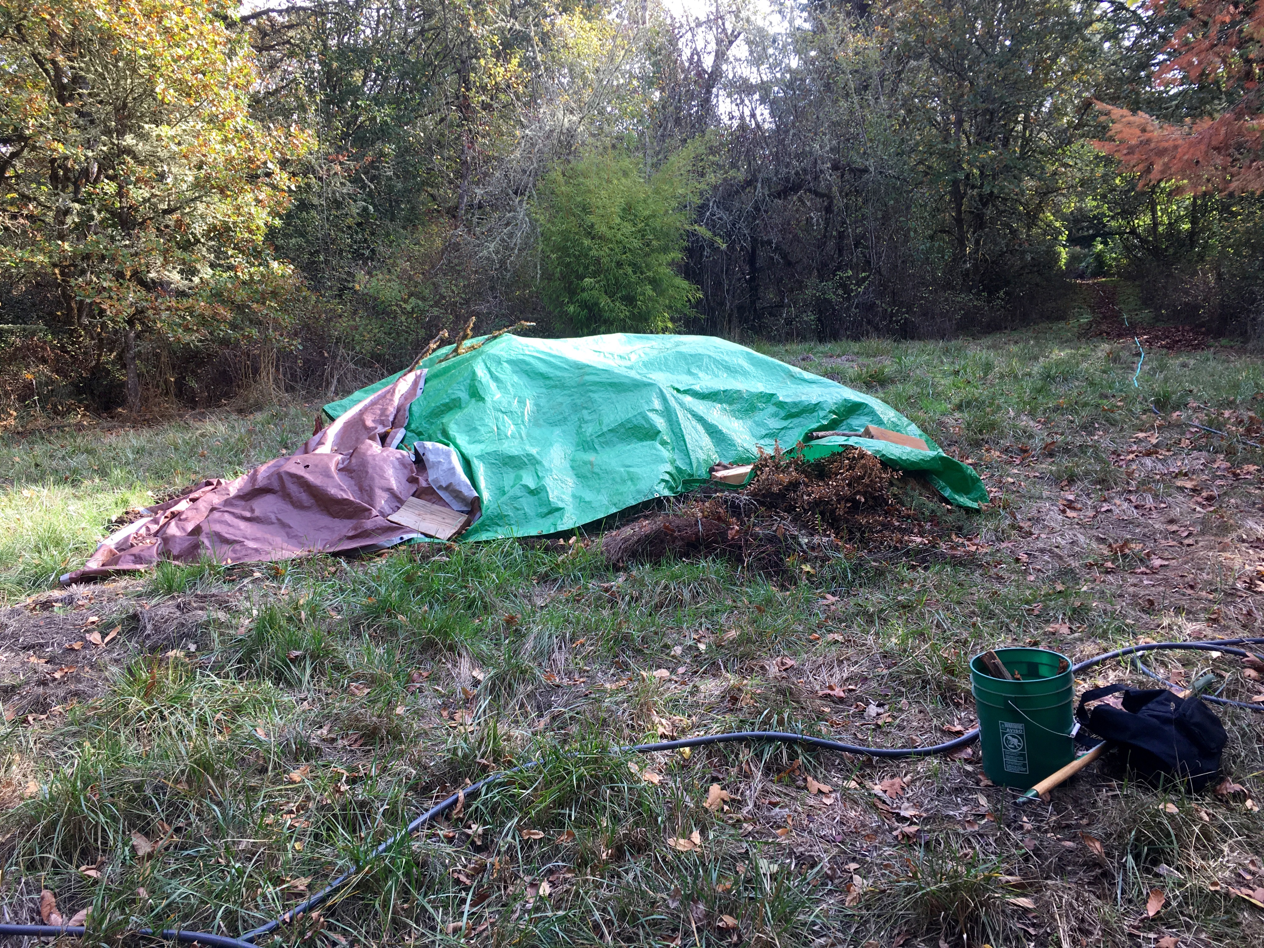 Burn pile 1 Burn pile 1