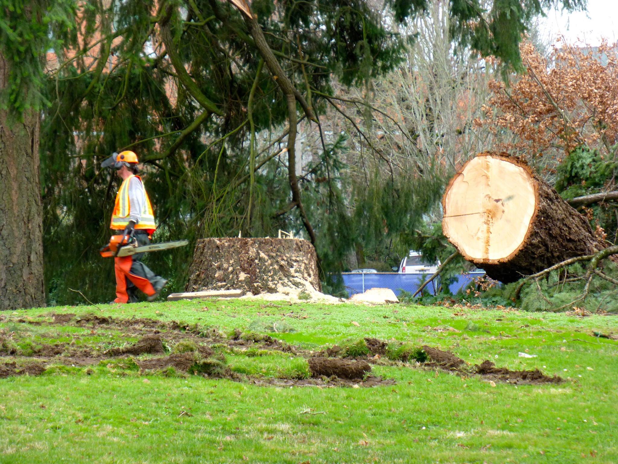 Jim photo 5 Jim photo 5