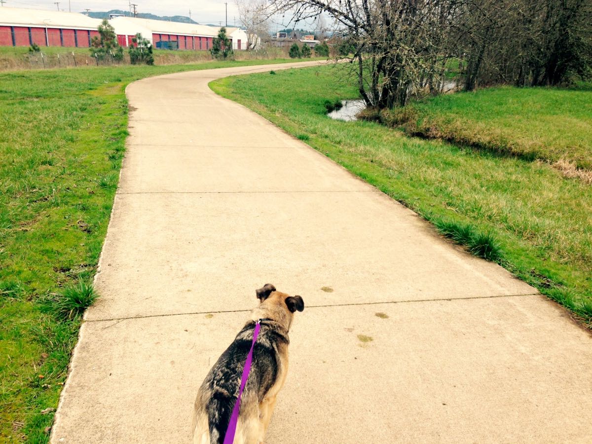 Bike Friday 12 Bike Friday 12