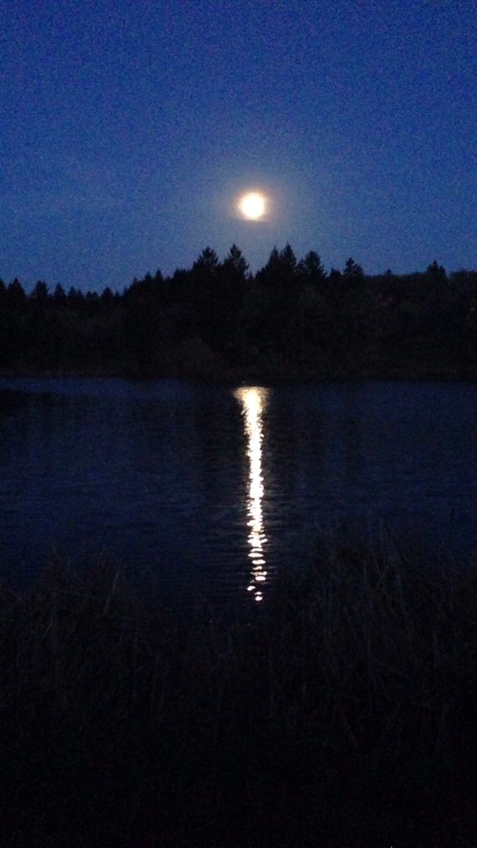 Moon over Spring Lake Moon over Spring Lake