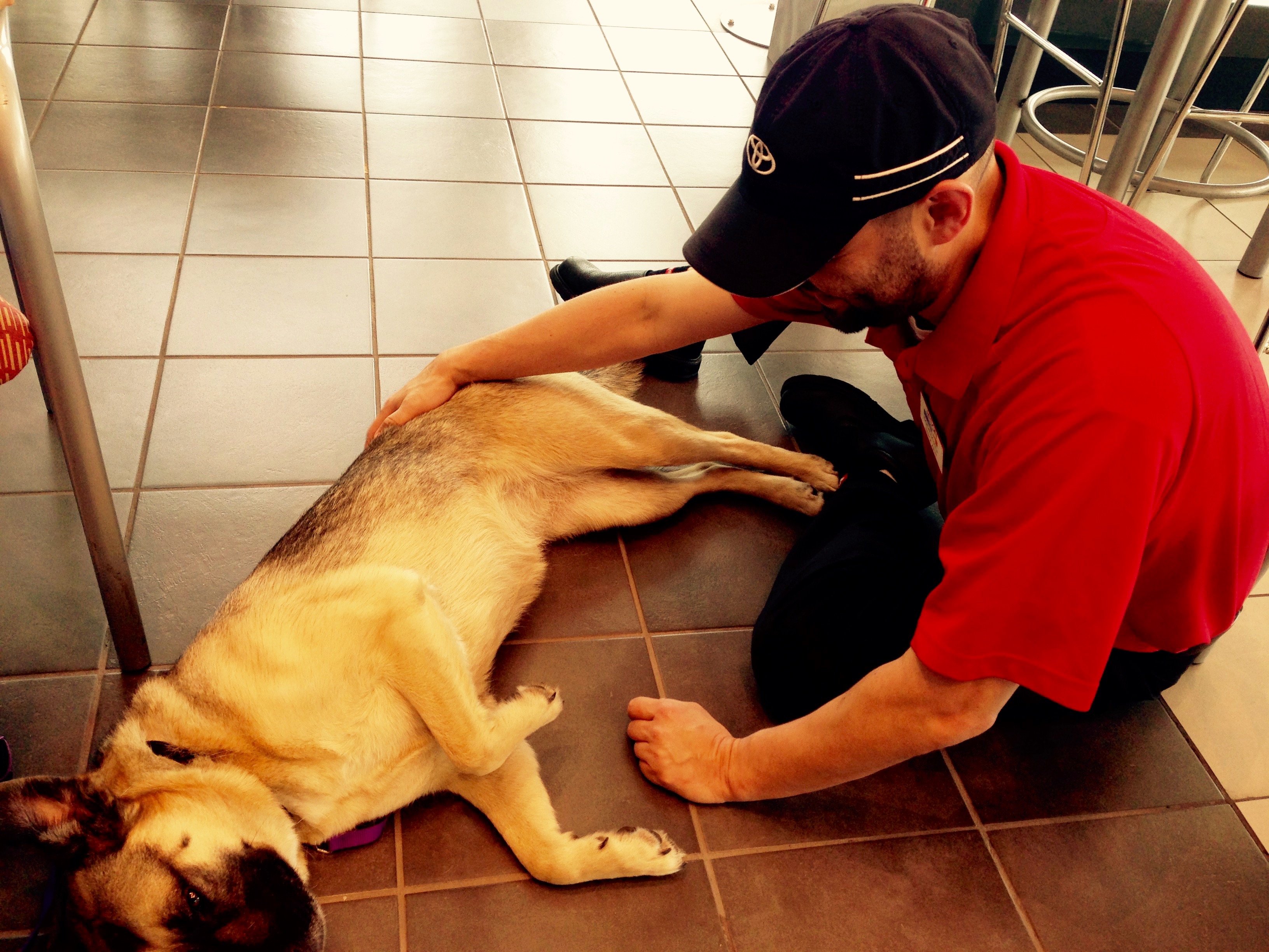 Capital Toyota 8 Capital Toyota 8