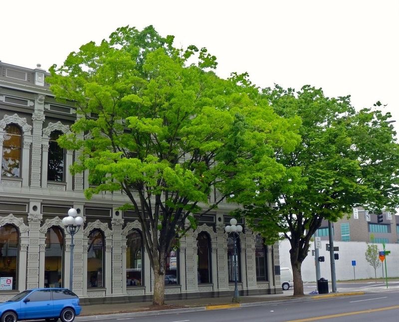 US Bank trees US Bank trees