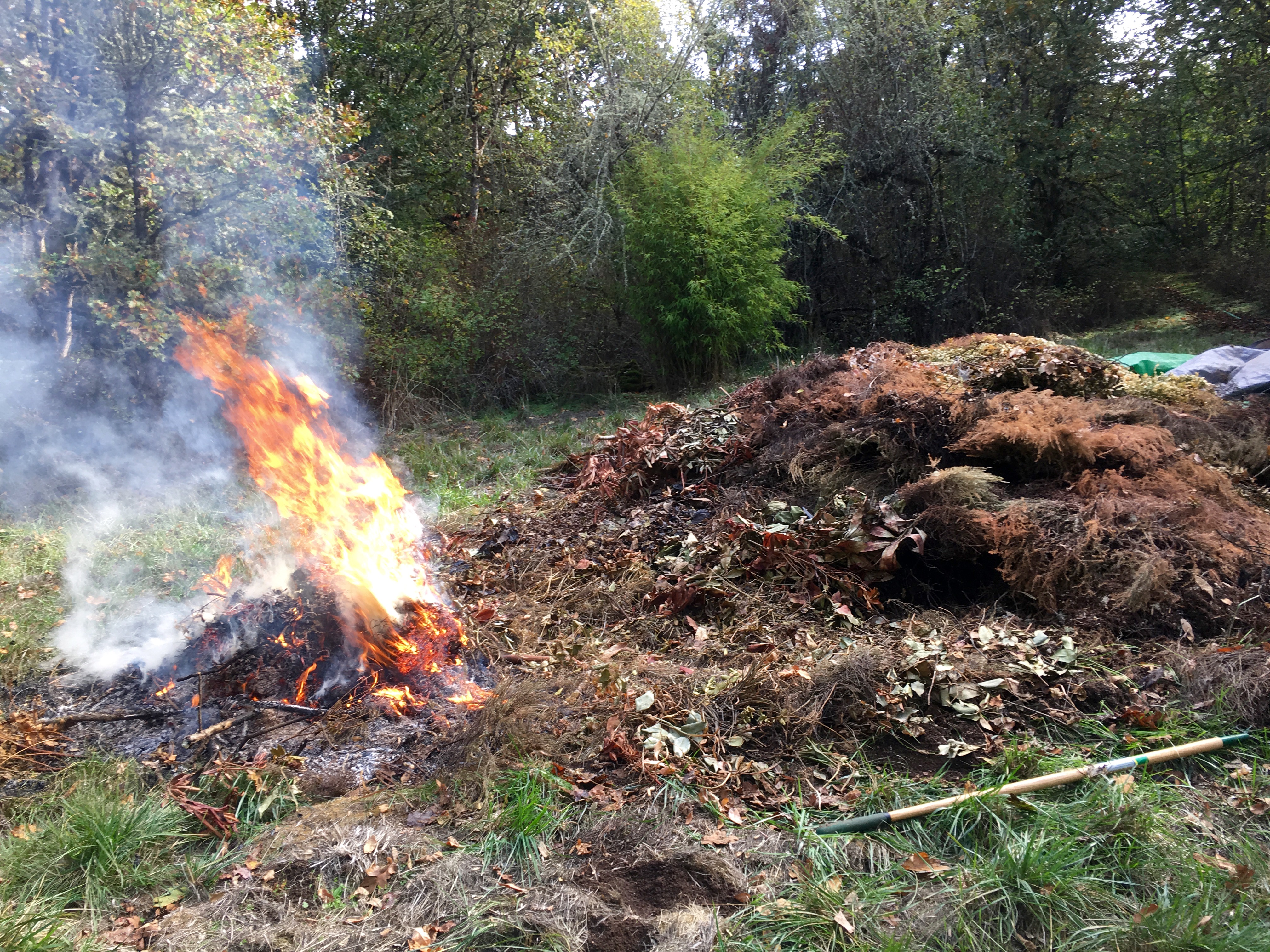 Burn pile 5 Burn pile 5