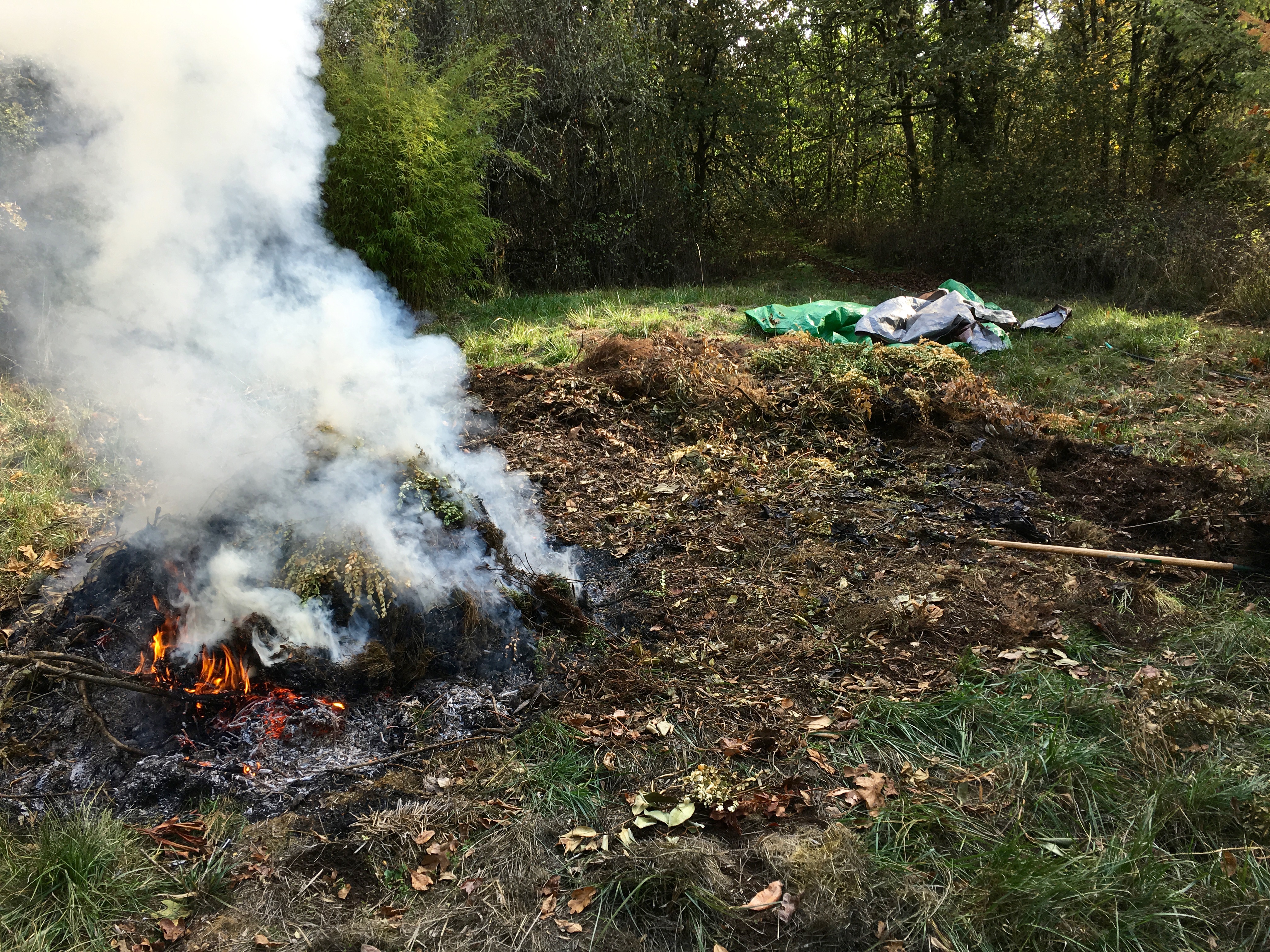 Burn pile 7 Burn pile 7