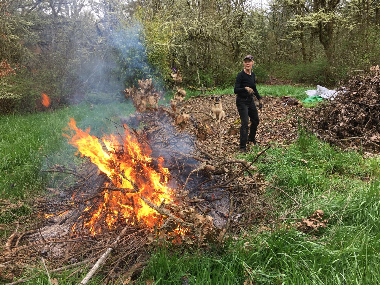 Burn pile 1 Burn pile 1