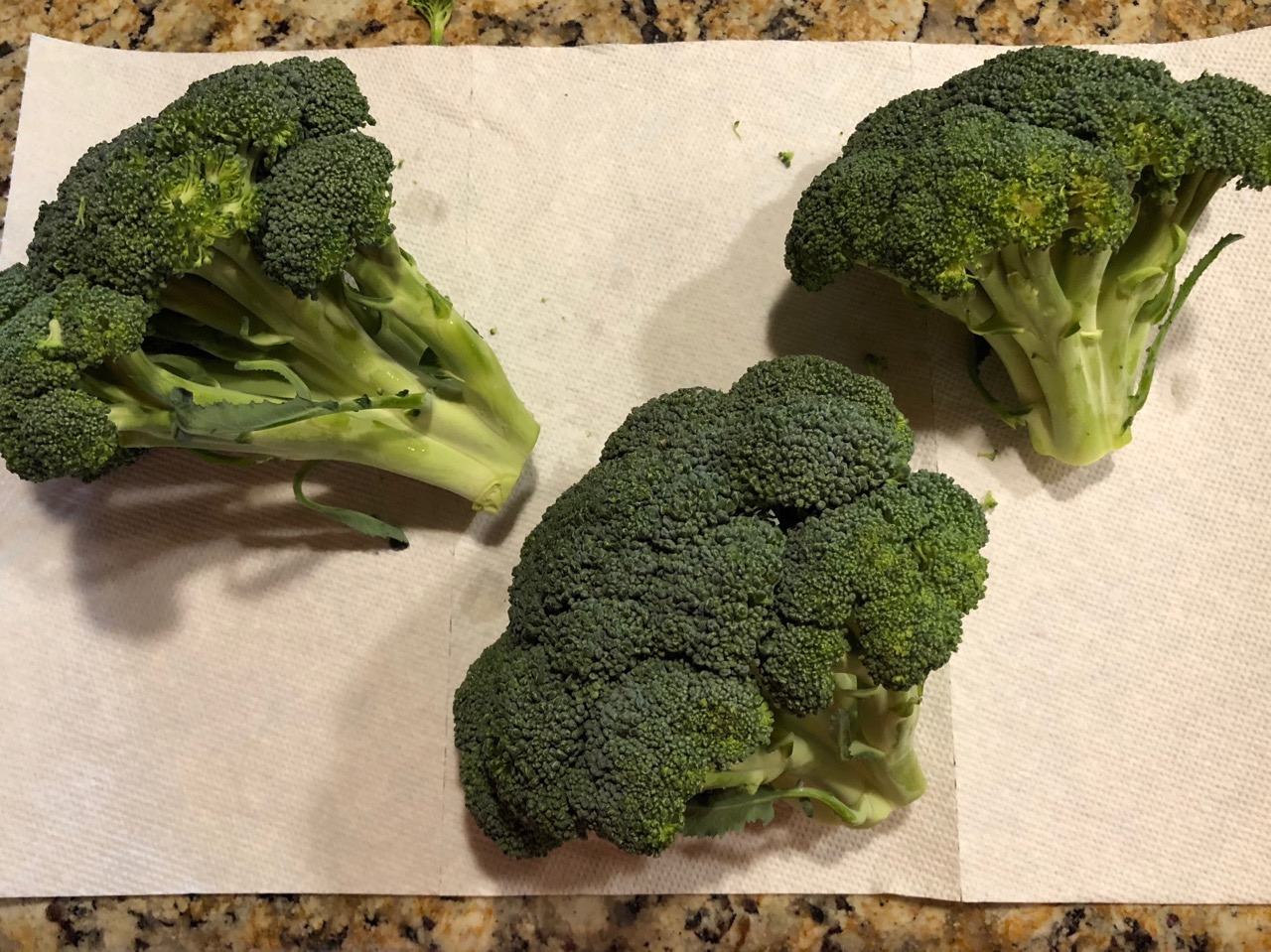 Broccoli from Life Source Broccoli from Life Source