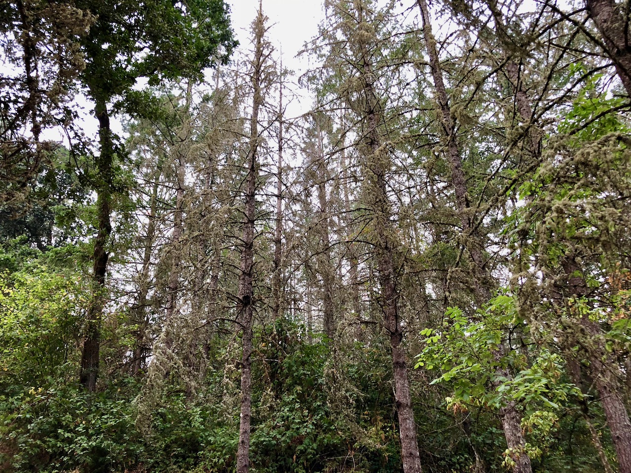 Global warming 3 Global warming 3