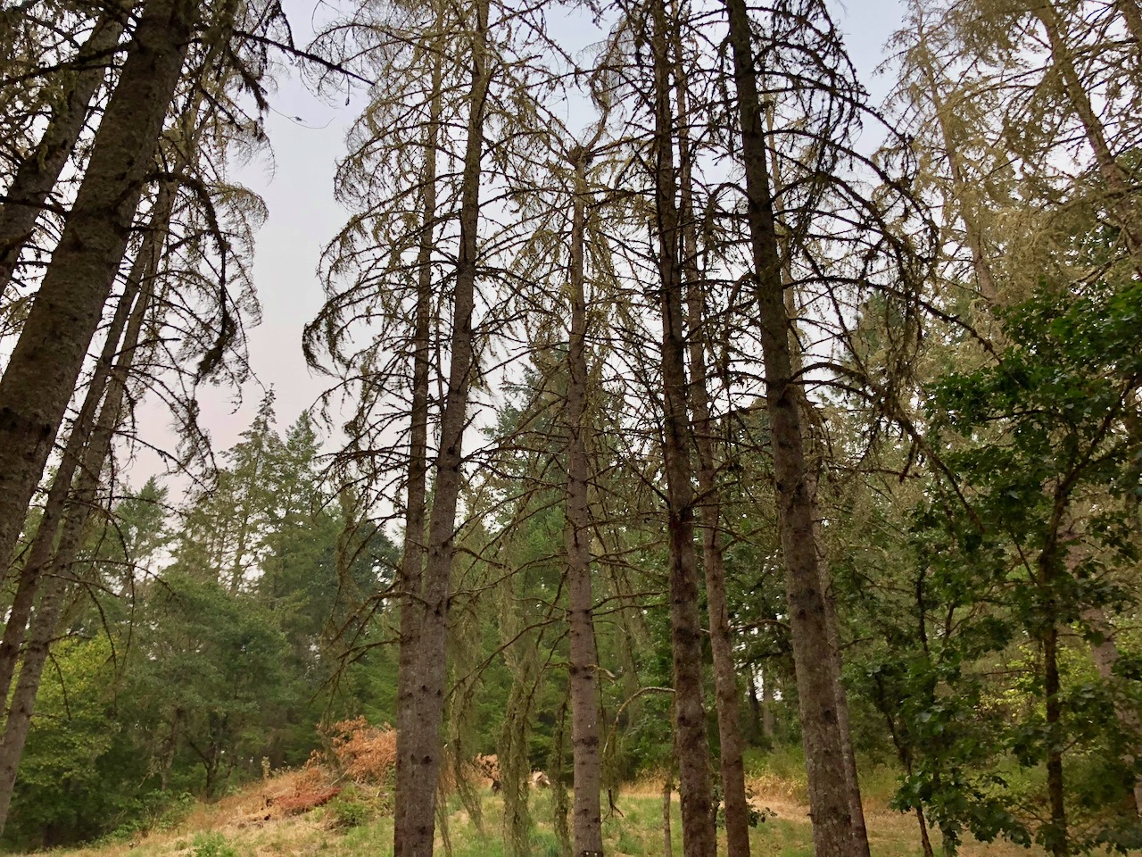 Global warming 2 Global warming 2