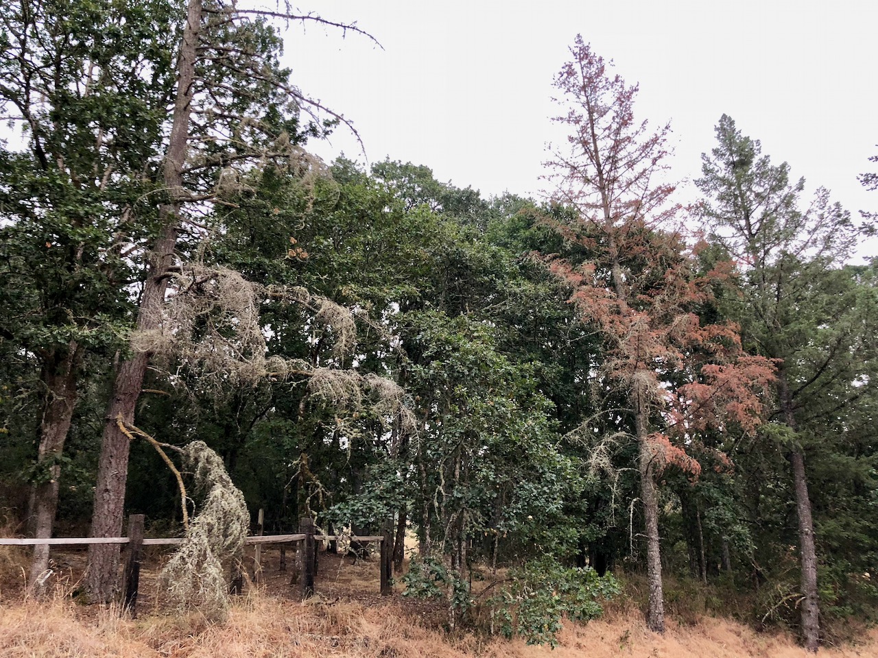 Global warming 4 Global warming 4