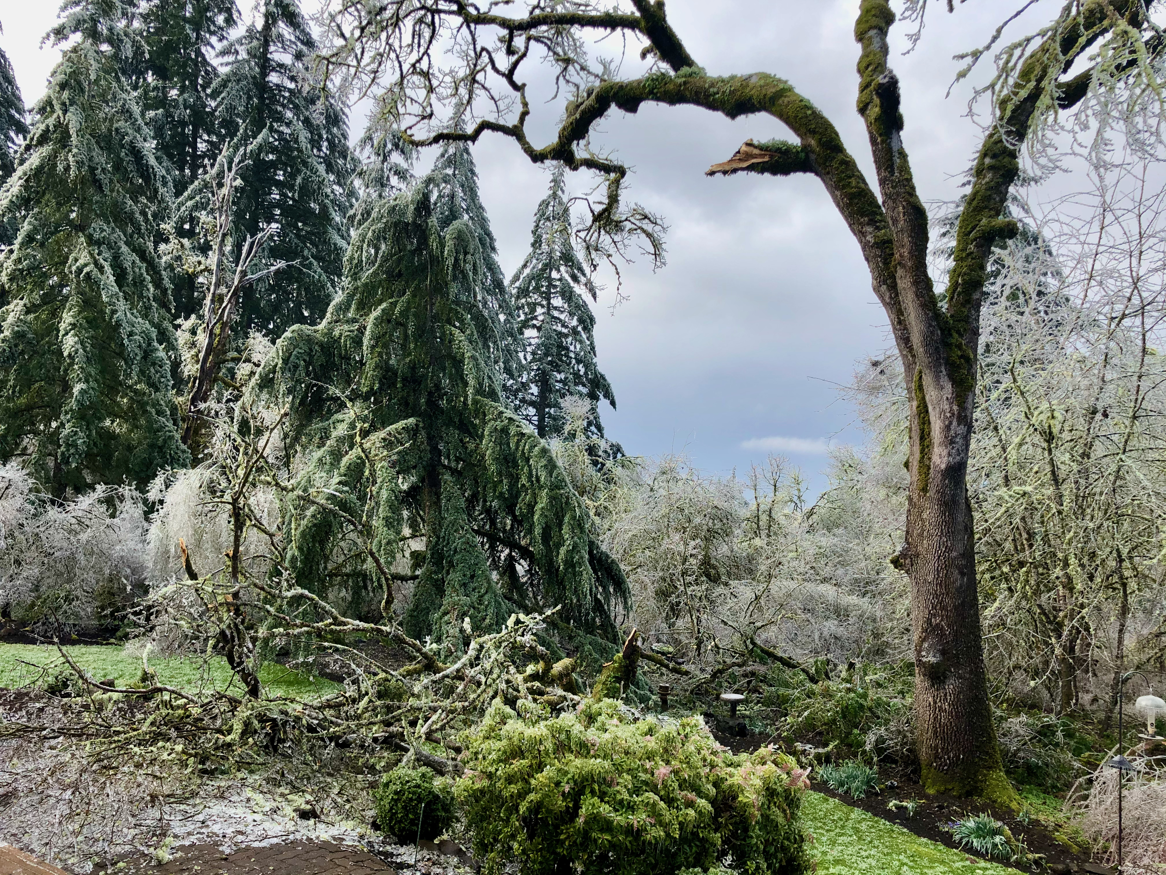 Ice storm 18 Ice storm 18