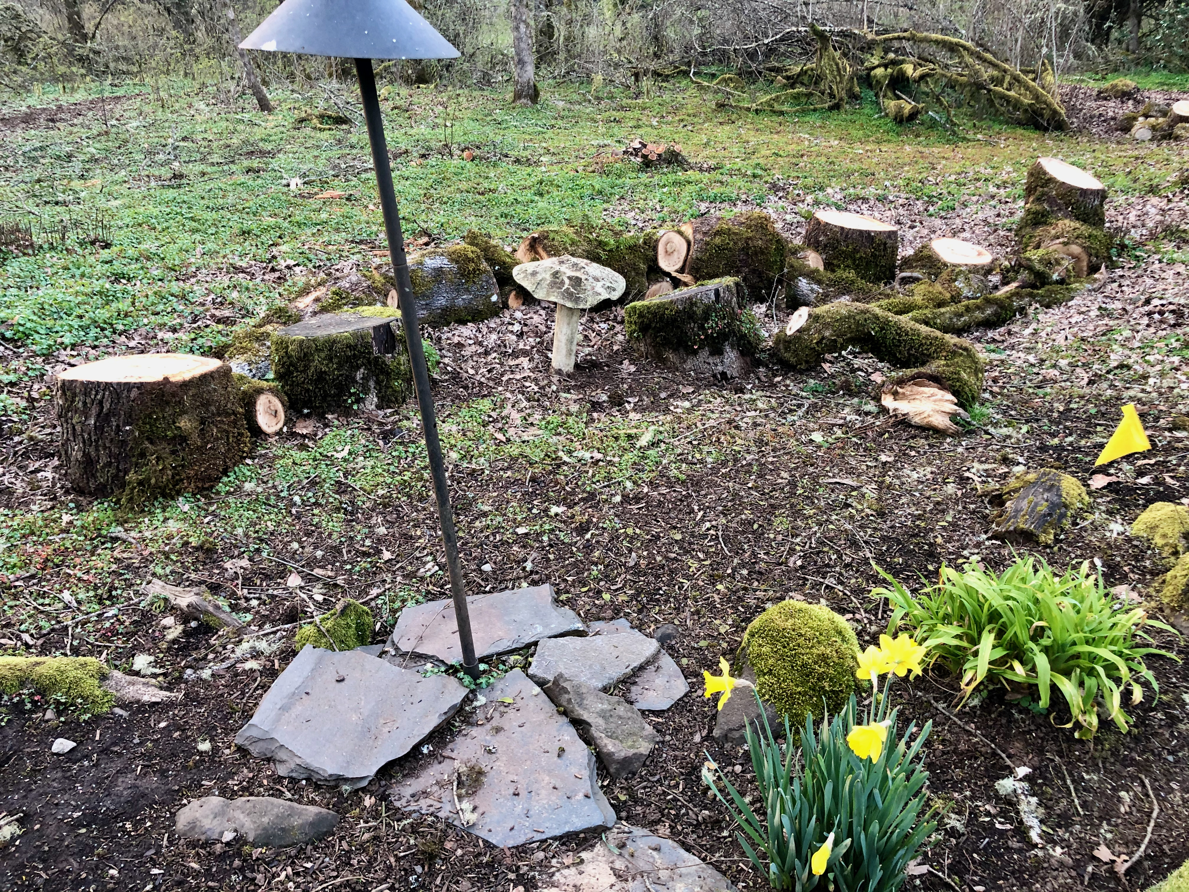 Chainsaw 11 Chainsaw 11