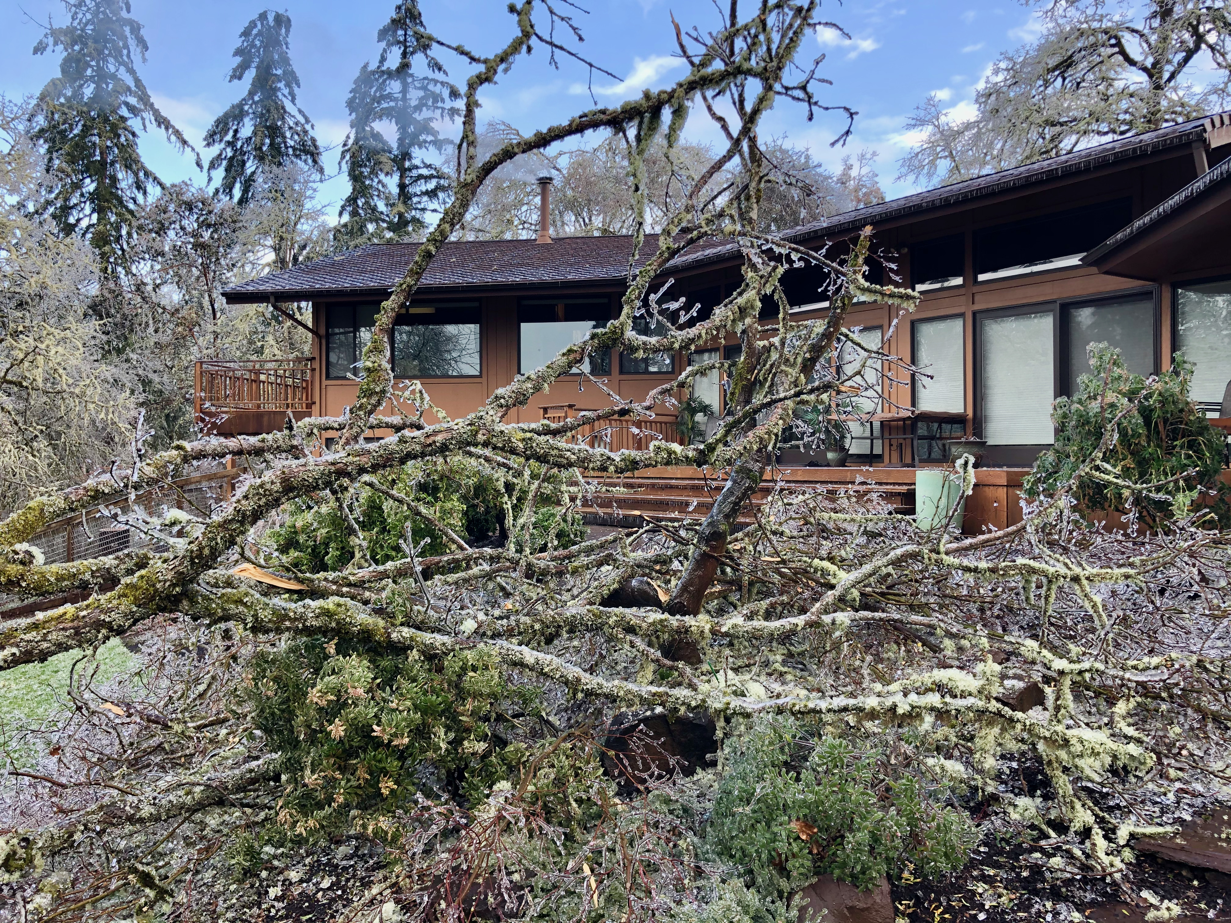 Ice storm 4 Ice storm 4