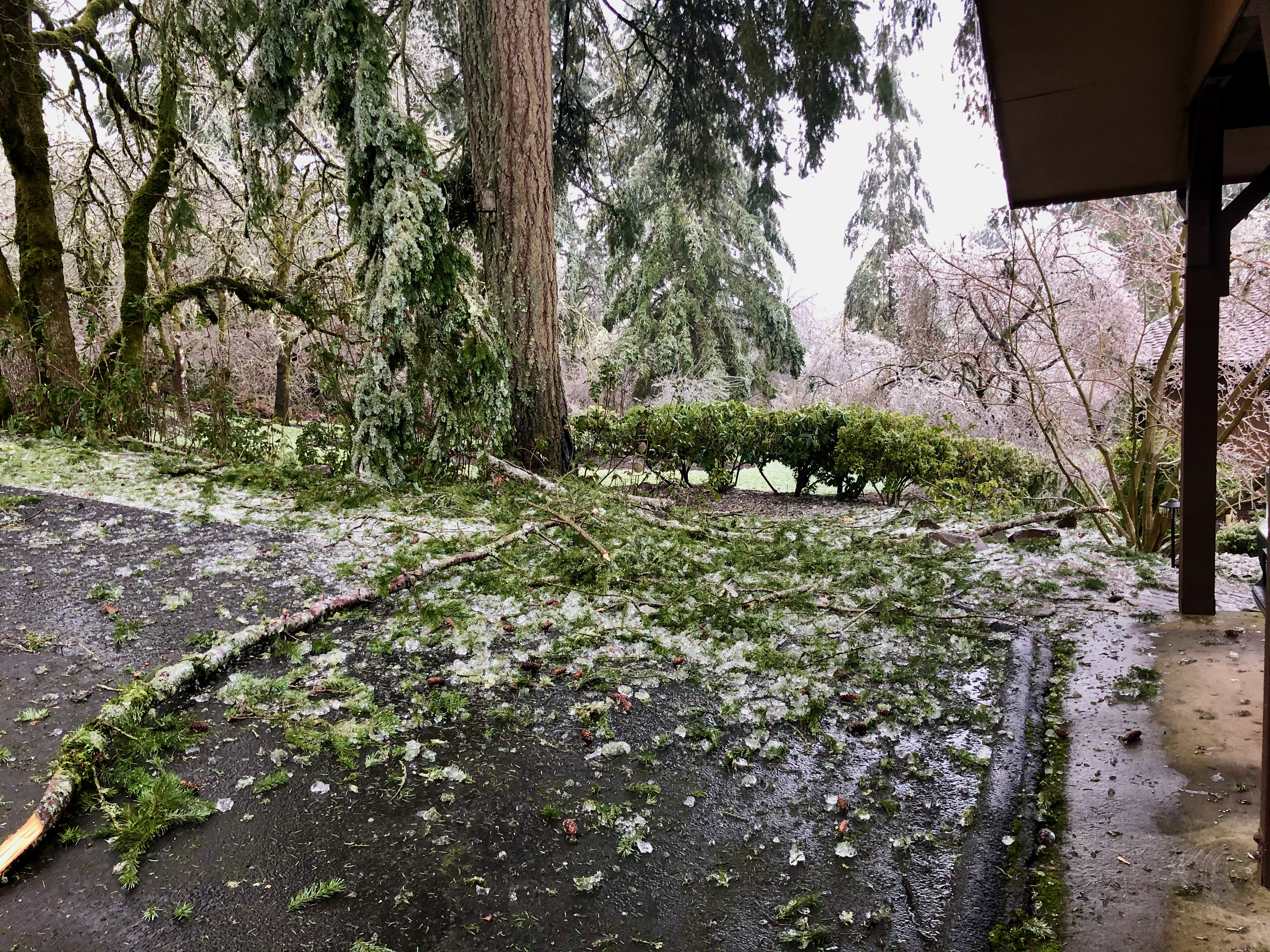 Ice storm 11 Ice storm 11