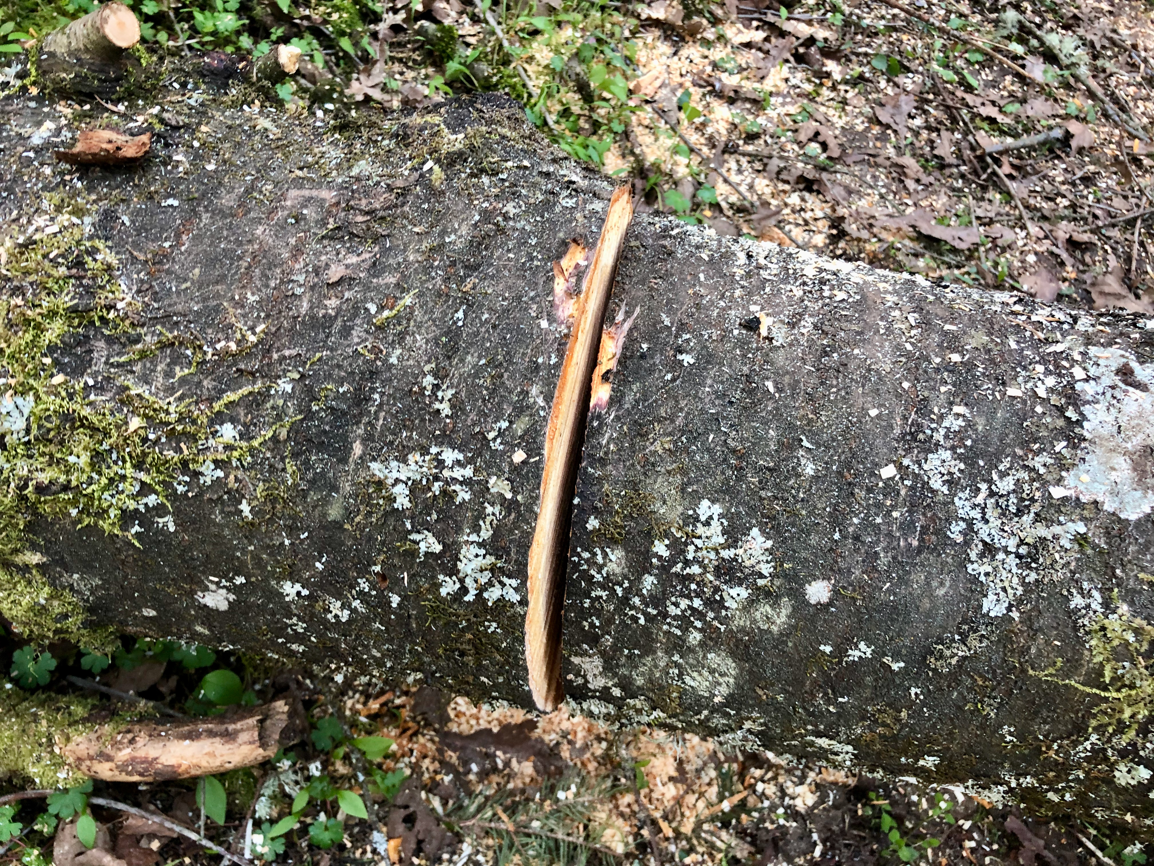 Chainsaw 2 Chainsaw 2