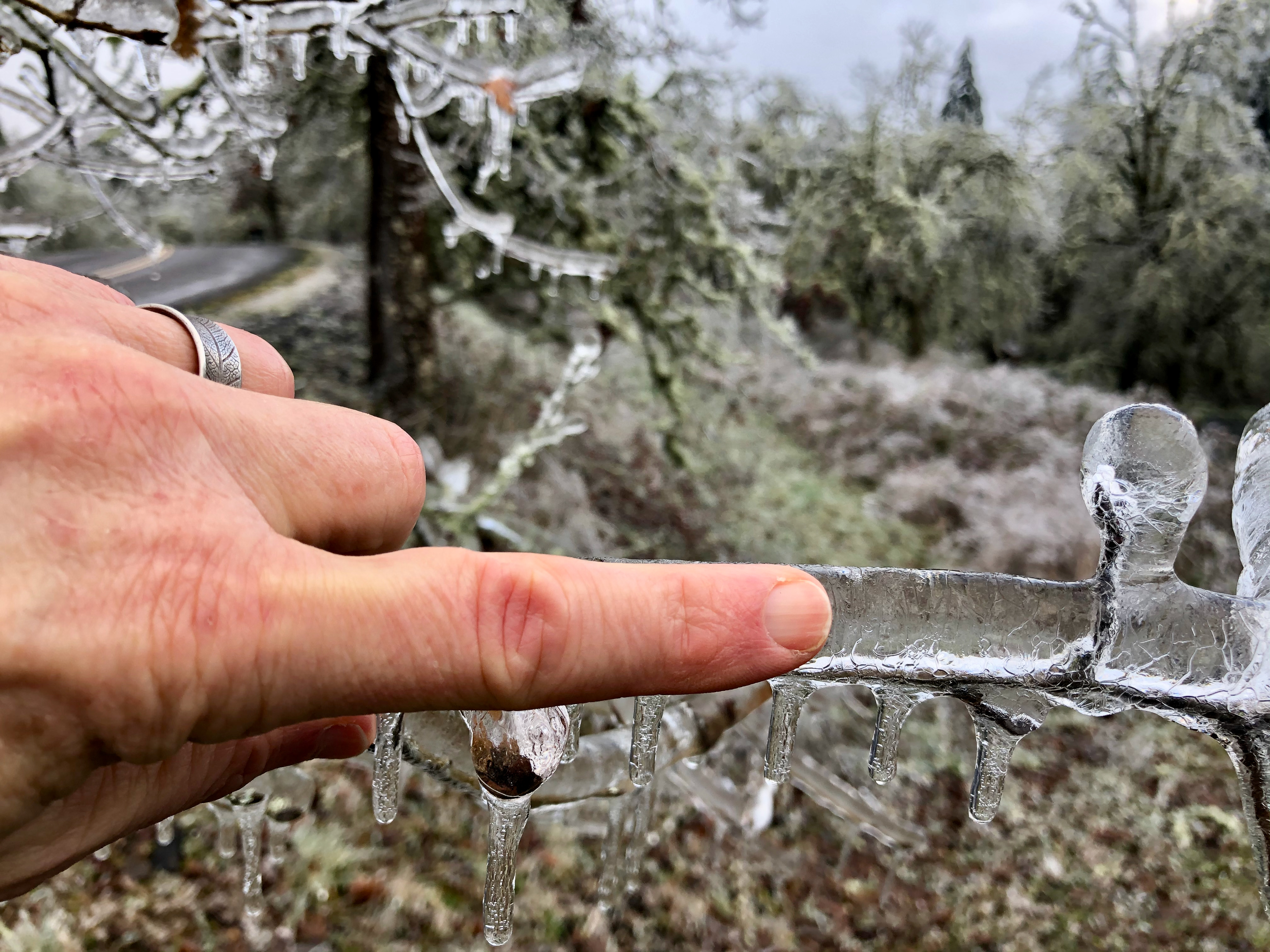 Ice storm 16 Ice storm 16