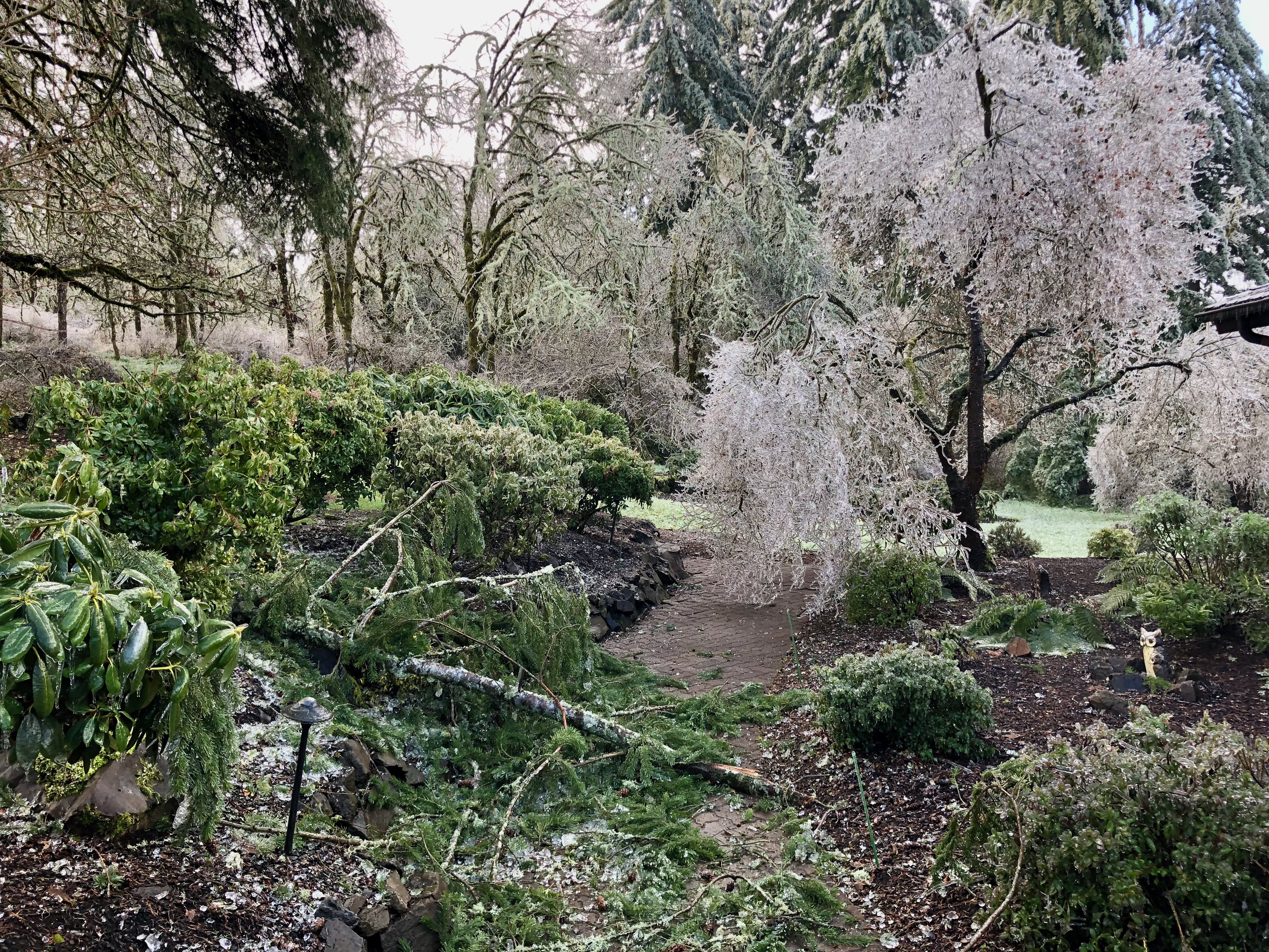 Ice storm 1 Ice storm 1
