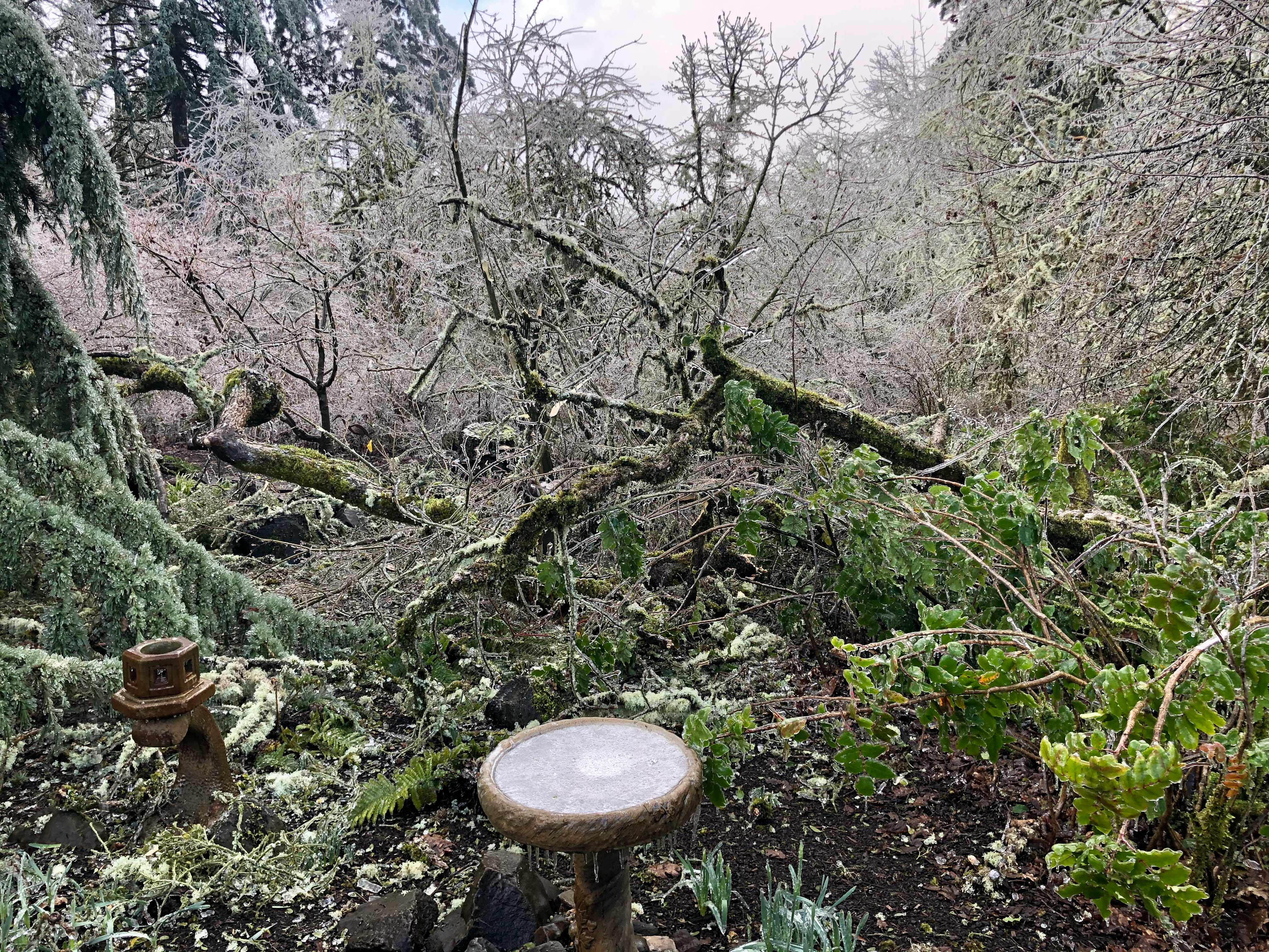 Ice storm 5 Ice storm 5