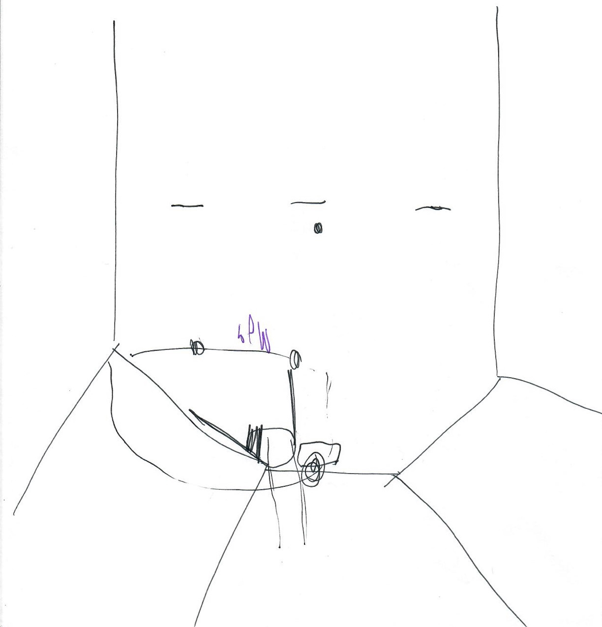 Lin diagram cropped Lin diagram cropped