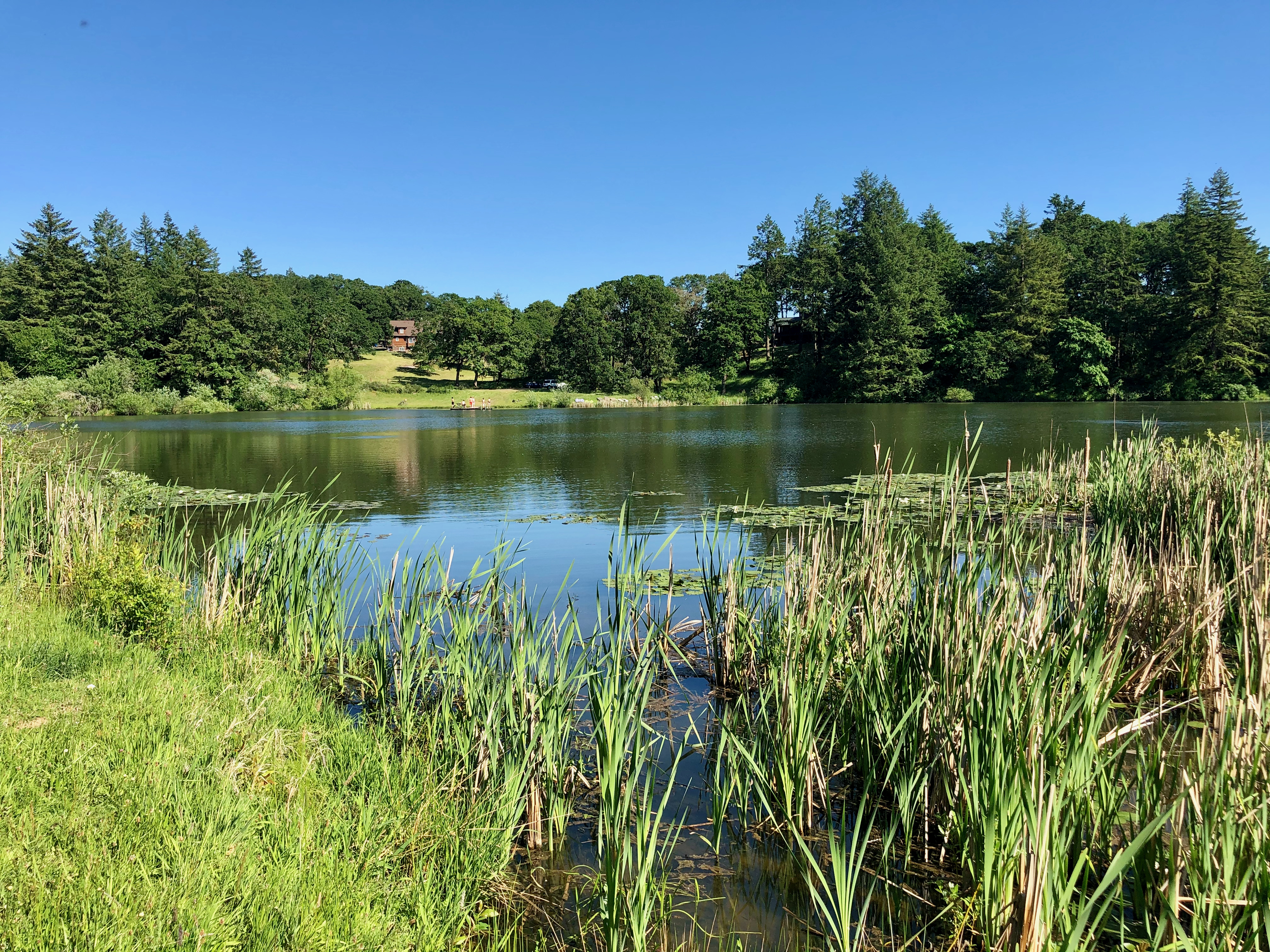 Why 17 (1) Why 17 (1)