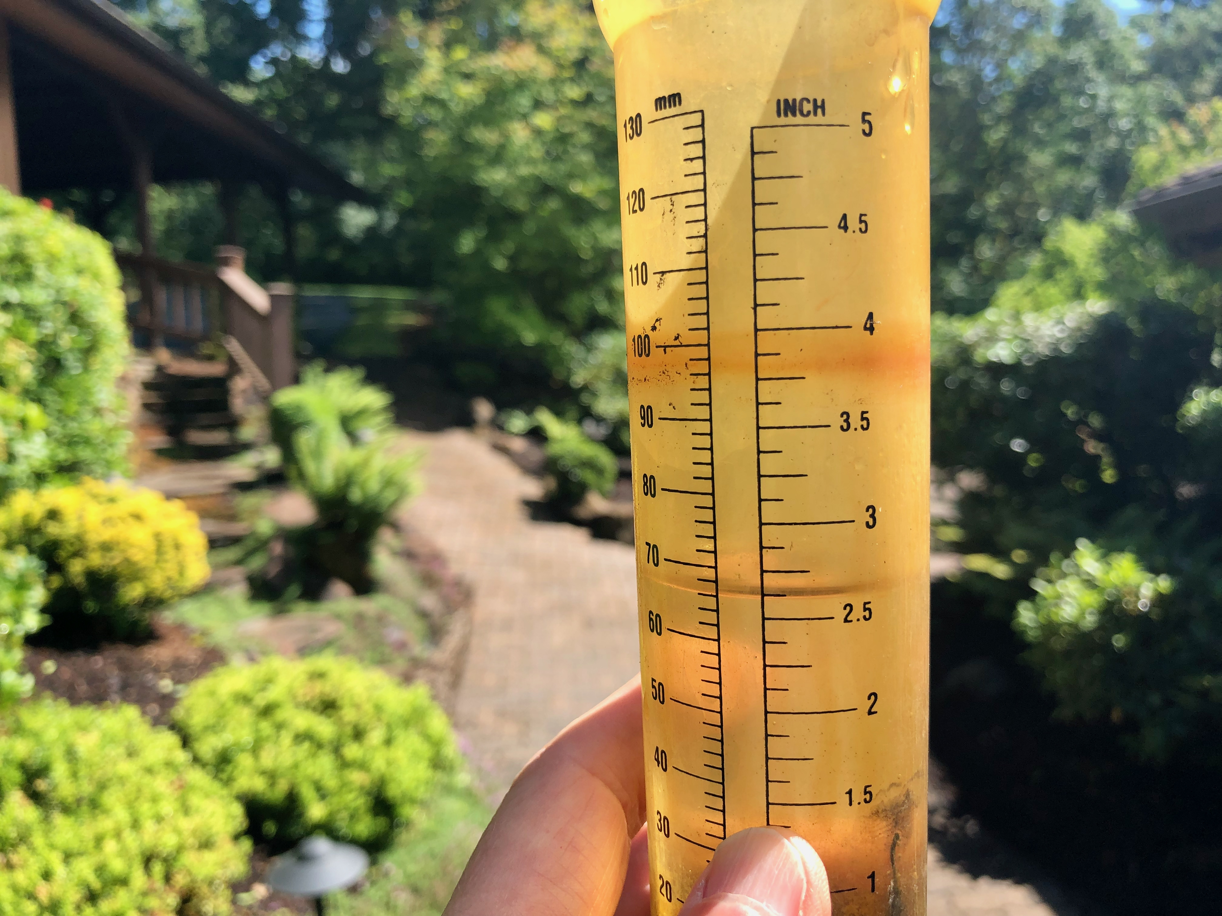 Rain gauge Rain gauge