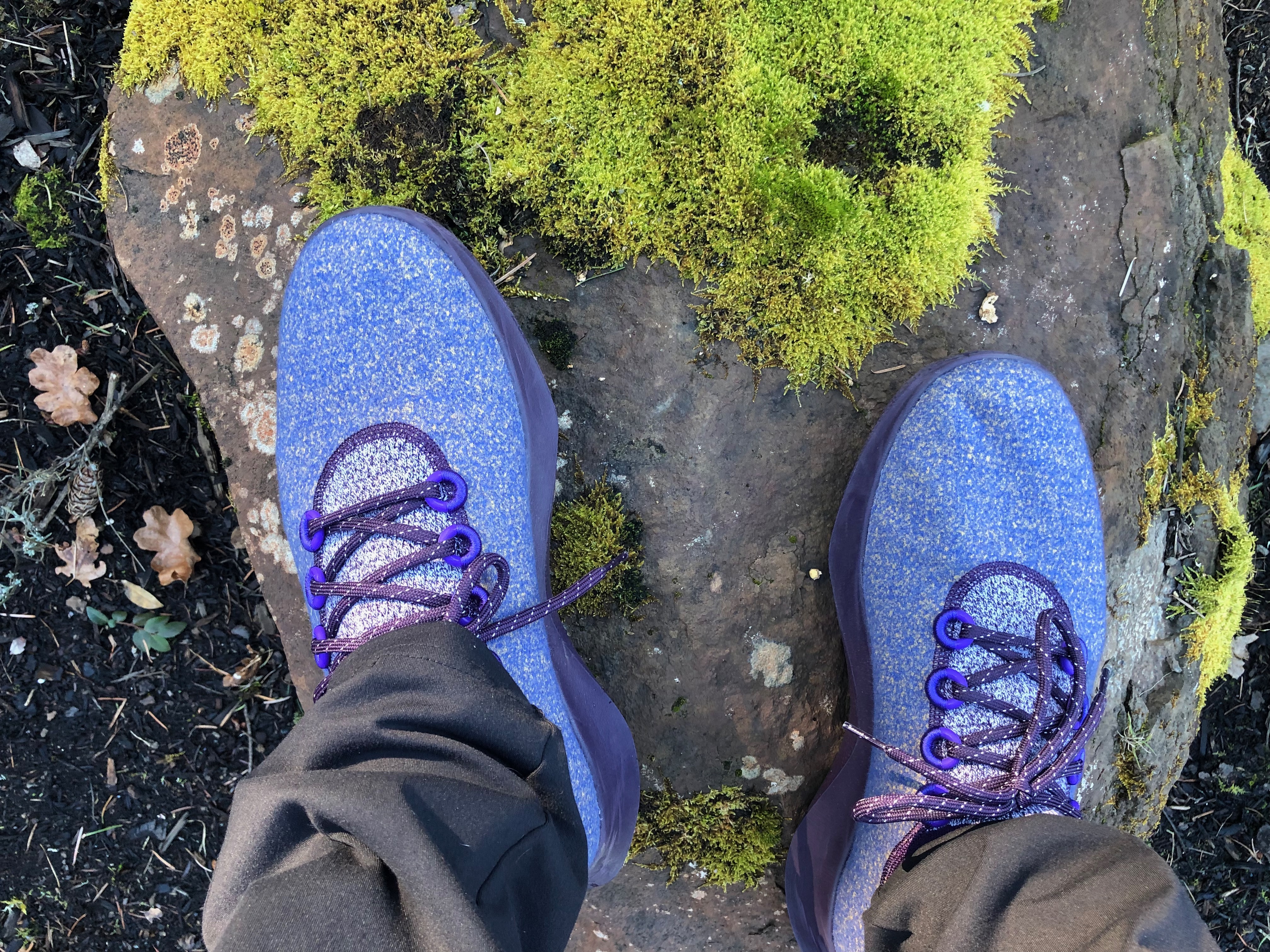 My purple shoes My purple shoes